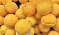How to use vitamin C without harming the kidneys?