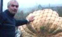 Huge pumpkin thanks to 'talking to people'