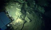 Huge 'treasure' in the ocean: It took more than 60 years that humans still have not recovered!