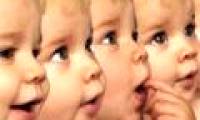 Human brain grows fastest right after birth