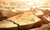 Human civilization may end in 2050