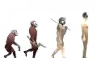 Human evolution has ended