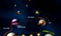 Human genome mystery