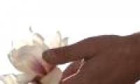 Human skin can 'sniff' the smell