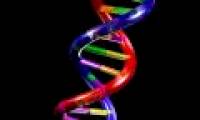 Humans are about to breed in a new way