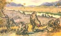 Humans are all born from women, so where did the first woman come from before humans?