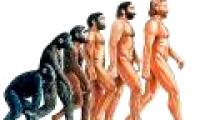 Humans are still evolving