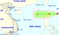 Hurricane 4 has just weakened and appeared a tropical depression heading into the East Sea