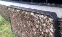 Hurricane Harvey has just melted, appearing a million mosquito flocks
