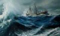 Hurricanes are nightmares for seafarers, but what about sea creatures?