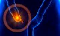 Ideas are useless, but the appendix seems to play a very important role