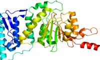 Identified enzyme that helps sperm production for life