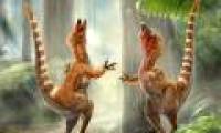 Identify dinosaur colors