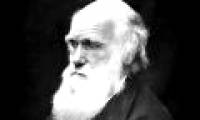 If you have these diseases, it is likely that you will be a genius