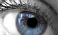 Implant human eyes on cicada wings