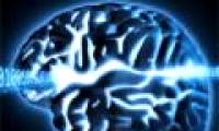Implant liquid into human brain to be smarter