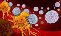 Important discovery opens up hope for curing pancreatic cancer