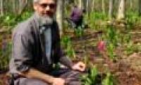 Important role of wild insects with agriculture