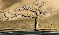 Impressive breathtaking natural beauty leaves viewers in awe