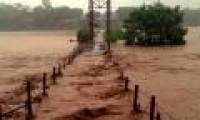 In the north, there is a widespread rain, and floods appear on the rivers