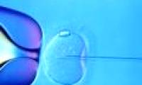 In vitro fertilization causes complications of pregnancy