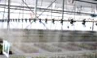 Inauguration of the most modern greenhouse and greenhouse in the South