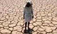 India: 454 people commit suicide due to prolonged extreme heat