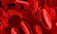 India announced the successful development of artificial blood