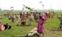 India grows 50 million trees in just one day
