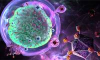 India launches first indigenous CAR-T cell therapy to treat cancer