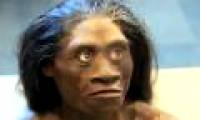 Indonesia's ancient dwarf was wiped out by human ancestors?