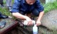 Industrial waste sludge fertilizing plants: Dangerous!