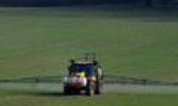 Infection with less pesticides, brain damage