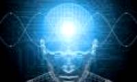 Intelligence index does not relate to brain volume