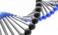 Intelligence is not only due to genetics