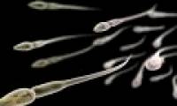 Interesting surprises you never knew about sperm