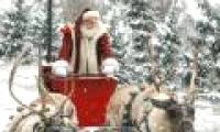 Interesting things about reindeer