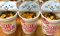 Interesting things only in Japan