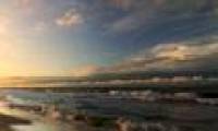 International conference on cleaning the Baltic Sea water