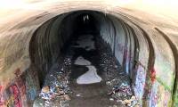 Inunaki Tunnel: The haunted road leading into Japan's 'village of death'