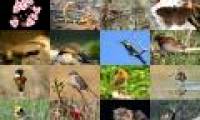 Investing US $ 3.5 million in Vietnam's protected areas