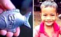 Iron fish cure anemia for Cambodians