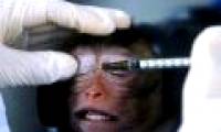 Is animal testing unethical?