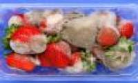 Is mold food safe?