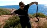 Island 'kingdom of poisonous snakes' in Australia