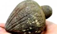 Israel found the 700-year-old strange grenade