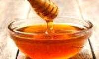Israeli students research and produce honey-free honey