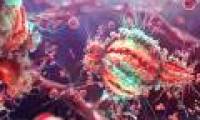 It is possible to detect HIV-infected T cells that are