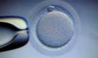 IVF is easy for ovarian cancer