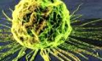 Japan discovered the gene that accelerates cancer metastasis